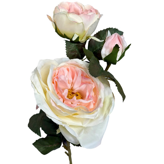 The Natural Garden Collection Pink Charity Rose